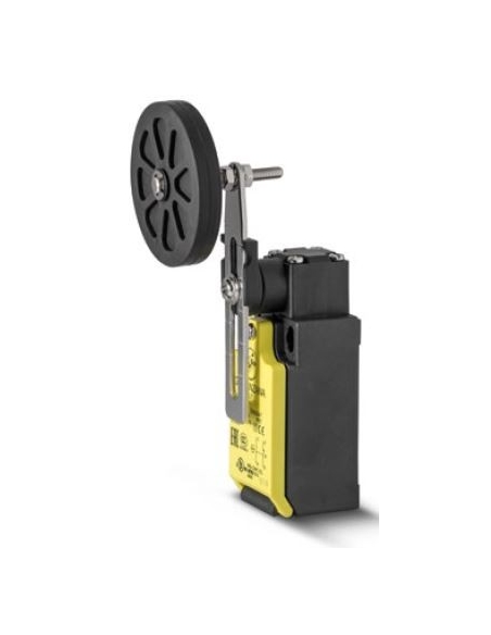 End of stroke adjustable lever with adjustable roller 50mm FTN Series - Giovenzana