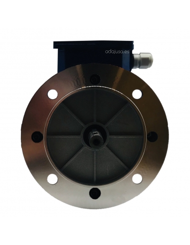 Single-phase electric motor 0.25Kw 0.33HP 230V Flange B5 3000 half torque start | ADAJUSA