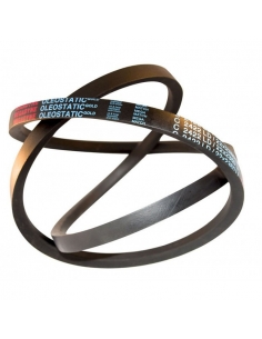 Correia trapezoidal B OLEOSTATIC GOLD B162 17x4115mm MEGADYNE | ADAJUSA