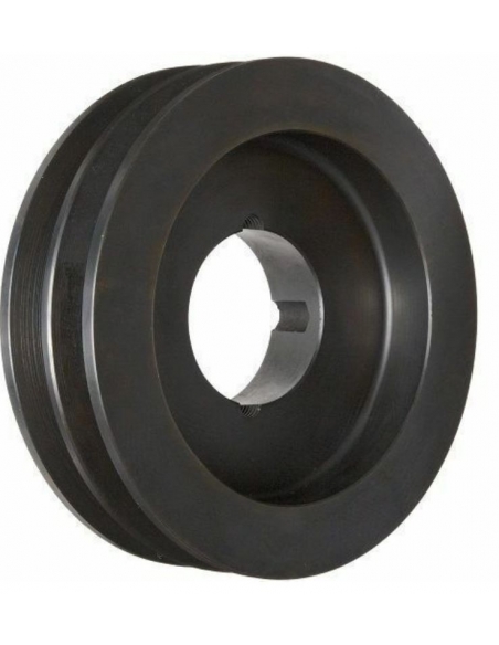 Pulley V-belt SPA 100x2 slots taper T1610 - adajusa.es