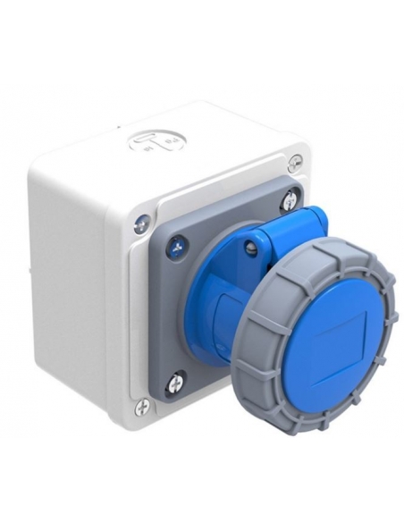 Base de plug base de plugue industrial com CEE CETAC 32A 2 Polos IP67 | ADAJUSA