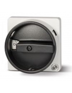 Switch plate front cam control gray 67x67mm Giovenzana | ADAJUSA
