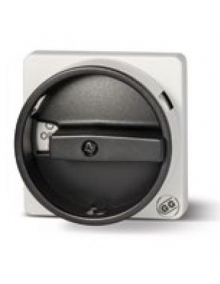 Front control plate 1-0-2 for 63-80A - Giovenzana