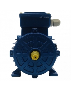 Three-phase motor 2,2Kw/3CV 230/400V 3000 rpm Flange B3 foot - ADAJUSA 2