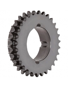 Sprockets bloqueio de fita dupla 3/8 x 7/32 06B - ADAJUSA
