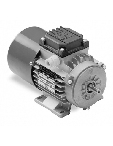 Motor trifásico 5,5Kw 7,5CV com freio 400/690V 1000 rpm Flange B3 Patas - MGM