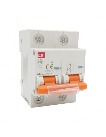 Disjuntor 2 pólos 63A 10kA (2x63A) - LS