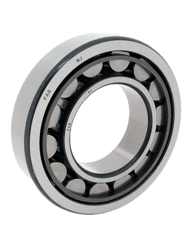 Cylindrical roller bearings single row with cage NJ-204-TVP2 20x47x14mm FAG - ADAJUSA