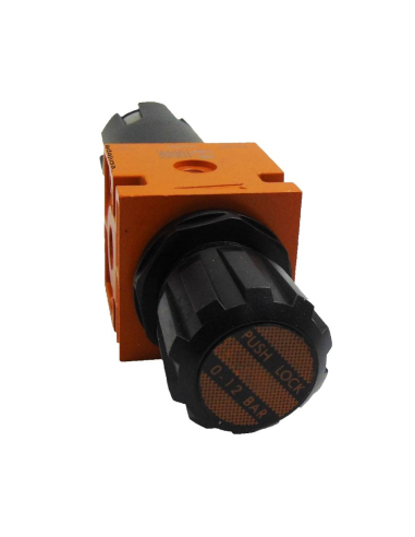 Regulator Filter 1/4 50 012 RMSA New Deal Metal Work | ADAJUSA | price