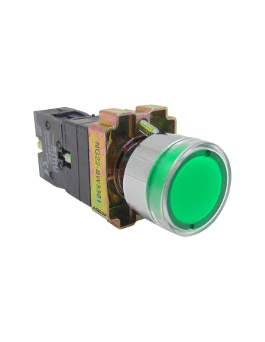 Pushbutton de metal verde luminoso contato aberto (NA) completo