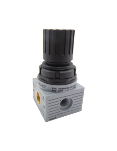 Regulador pressão 1/8 0-12 bar FRL MINI - série Aignep