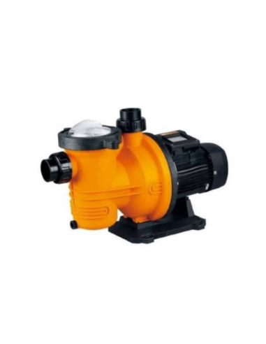 Bomba de filtro monofásica para purificador de piscinas 0,75kW / 1CV