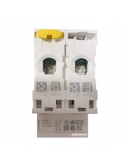 MCB circuit breaker 2 poles 10A (2x10A) IC60N C 6kA - Schneider