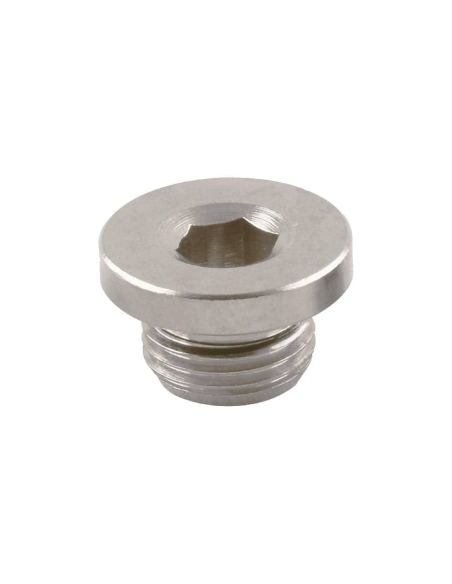 Pneumatic Plug 1/4 NBR joint - Aignep | ADAJUSA