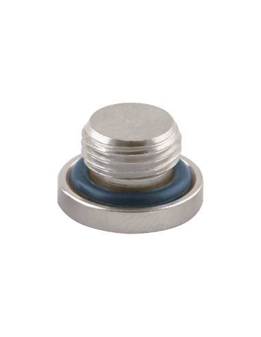 Pneumatic Plug 3/8 NBR joint - Aignep | ADAJUSA