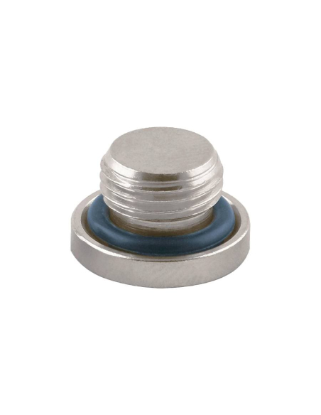 Pneumatic Plug 1 NBR gasket - Aignep | ADAJUSA