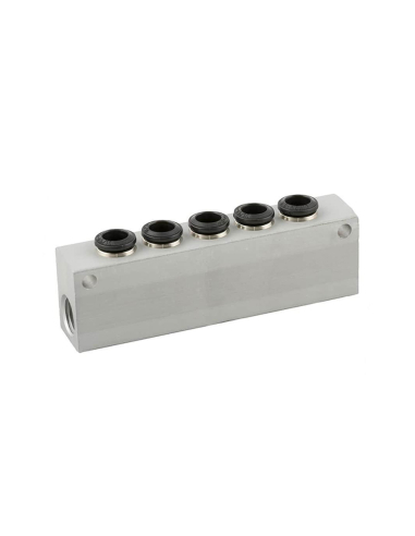 Distributor simple 2 inputs 1/8 - 5 outputs 4mm in aluminum 55000 series - Aignep