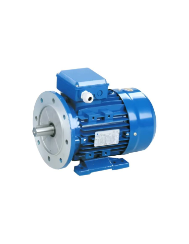 Motor trifásico 0,75kW/1CV 230/400V 3000 rpm B35 flange carcaça reduzida