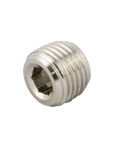 Conical male Plug 1/8 INOX Series 62000 - Aignep