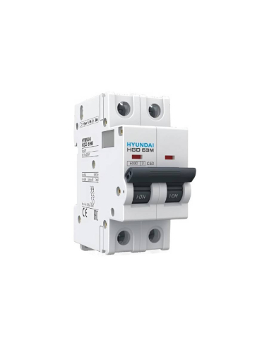 2-pole 63A (2x63A) MCB circuit breaker curve D - Hyundai Electric