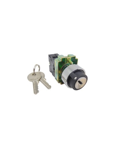 Metallic electric switch selector 2 positions BG41 | ADAJUSA | price