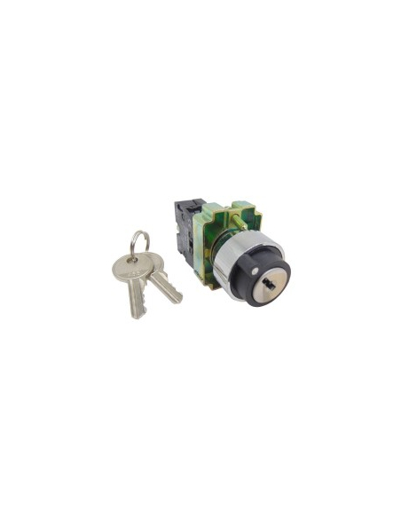 Metallic electric switch selector 2 positions BG41 | ADAJUSA | price