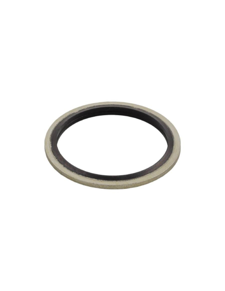 1/2 Gasket in Steel and NBR - Aignep | ADAJUSA