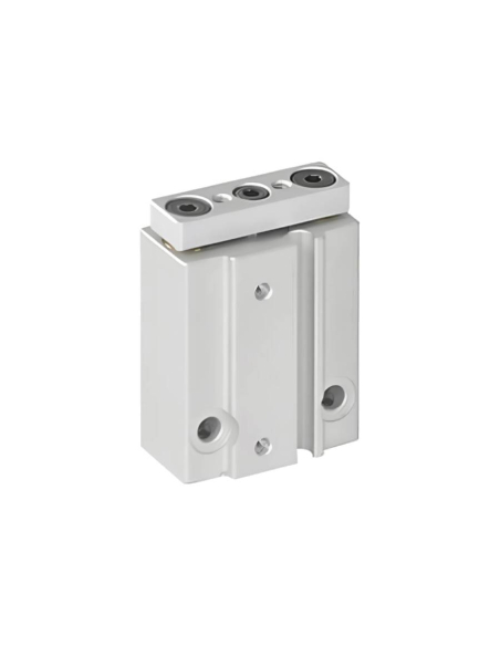 Double guide pneumatic cylinder 6x5mm double acting compatible SMC - Mindman | ADAJUSA | price