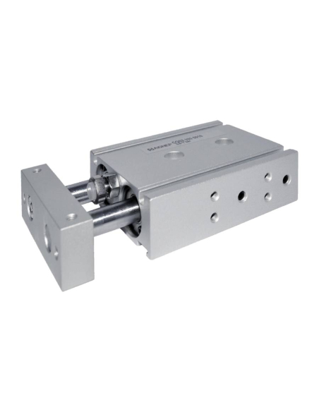 Compact pneumatic cylinder 20x30mm double acting parallel rods CG02 Series - Aignep | ADAJUSA | price