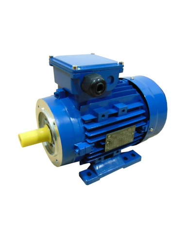 Single-phase electric motor 0,12Kw 0,16CV 230V B34 3000 flange half starting torque | ADAJUSA | price