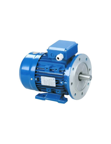 Motor monofásico 0,12Kw 0,16CV 230V 1500 rpm meio binário de arranque, Flange B35