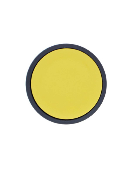 XB5 SCHNEIDER | ADAJUSA | yellow flush pushbutton head | price