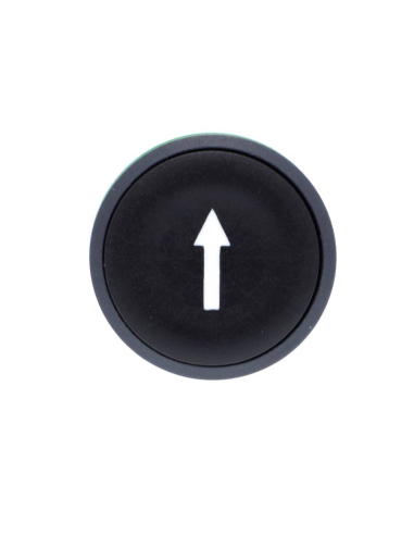 Black flush push button head with arrow XB5 SCHNEIDER : ADAJUSA : price