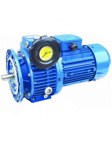 Motorvariator three-phase 1CV flange B5 diameter 200 shaft diameter 19