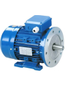 Motores monofásicos 3000 rpm flange B35 (Patas) binário elevado