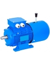 Motores-freio trifásicos 1500 rpm flange B3 (Patas)