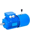 Motores-freio trifásicos 1500 rpm flange B14